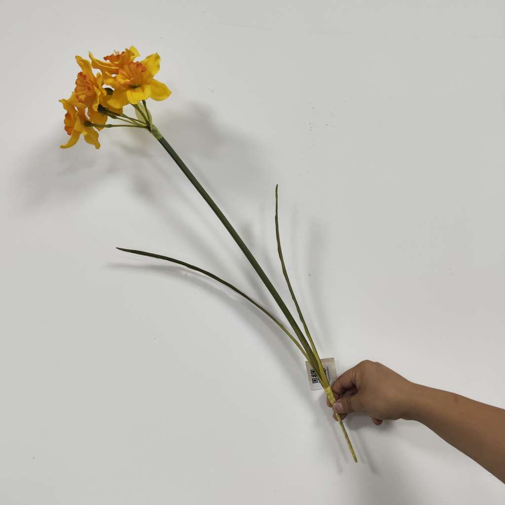 Daffodils Blossom Stem Dalian K Better Trading Co Ltd